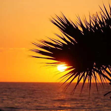 Melike كوشاداسيه